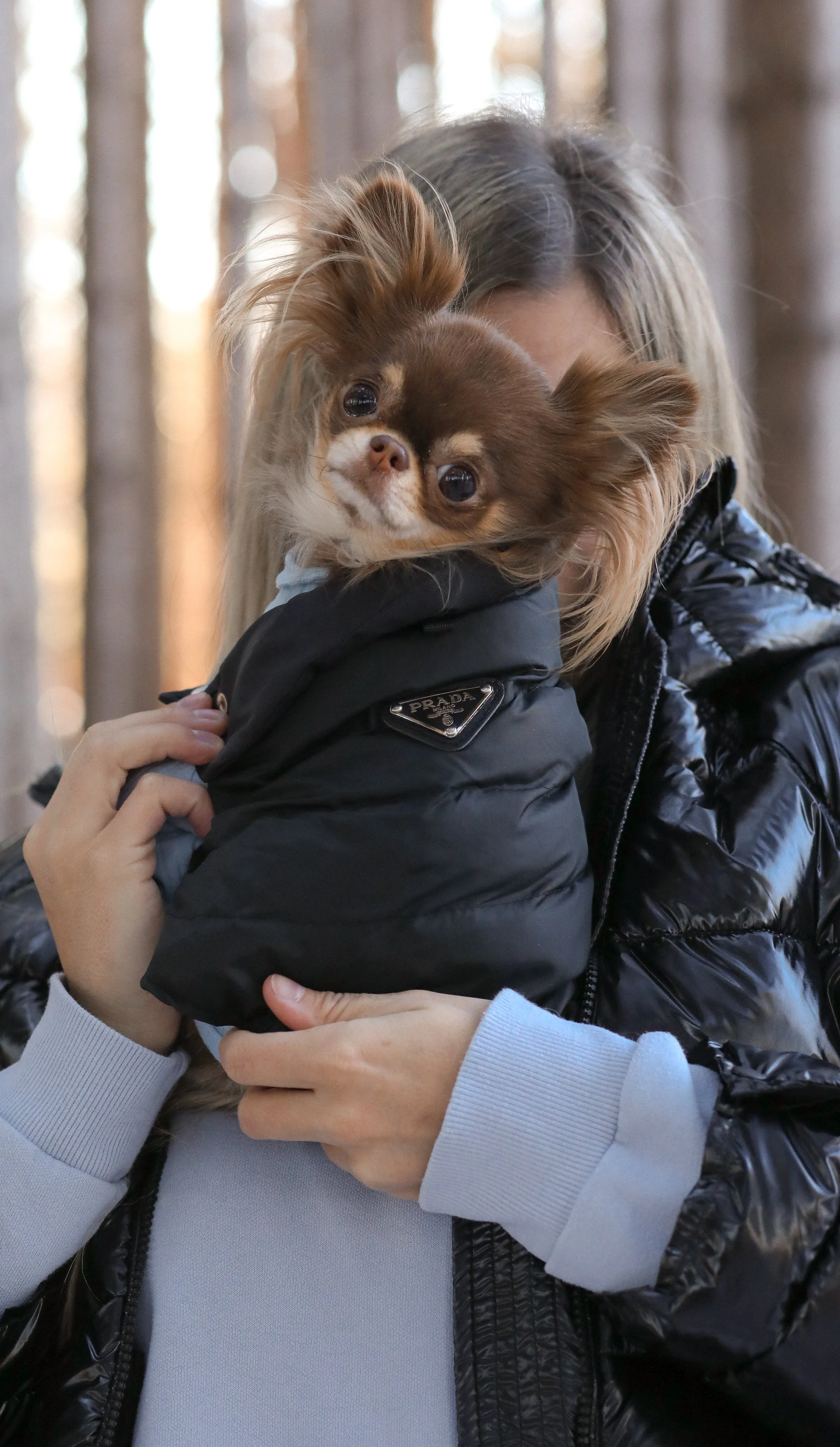 Puffer Jacket - Black